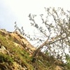 Natural Bridge in Sauk County, WI