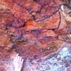 inspiration in nature