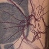 Orchid Cover-Up in Color