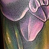 Orchid Cover-Up in Color