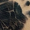 Newborn Footprint Replication in Grey-Wash