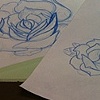 its a rose day