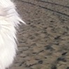 Haru and I's First Trip to the Beach
