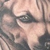 Pitbull Memorial in Grey-Wash