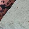 Blackwork Laid (Coagulated Blood Goo to Come)