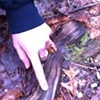 petting wooden snakes