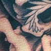 finished blackwork today