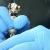 getting tattooed by dave!! finally!!