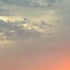 sunset from the road