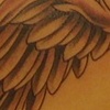 Little Wings That Could