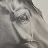 "Untitled" - 2009 Pencil on Bristol