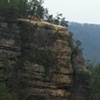 the view