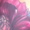 Cover-Up In Progress