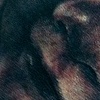 Greywash Portrait, about 4" tall