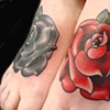 Rabbit Roses