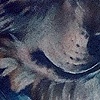 Wolf with Native Feathers