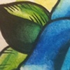 Watercolor Pencils