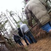 traveling the trails