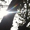 split the sun