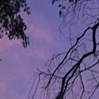 sunsetting