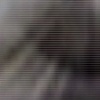 No Llores Chucha, 2007