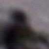 No Llores Chucha, 2007