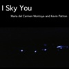 I Sky You, 2009