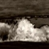 DoNot, 2004