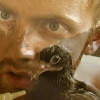 Bird Feed Face
