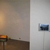 Installation shot showing the long forced march of mammiferous human larvae with Jason Boughton