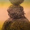 Detail Cabbage 2 (let your robust nonanthropomorphic caring be accountable to irreducible difference)