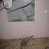 Materialist Praxis in Contemporary Abstract Photography.  