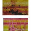 Untitled Folder