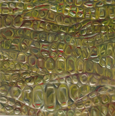 Snake Skin
