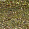 Snake Skin