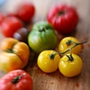 Tomatoes