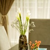 Product Photography