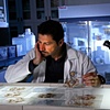 Dr. Jacopo Annese, neuroscientist