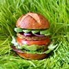 Veggie Burger