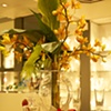 Lalique Boutique