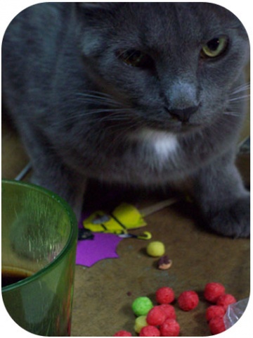 trix are for toes