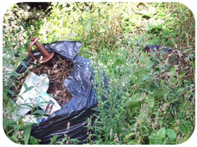 sword in rubbish