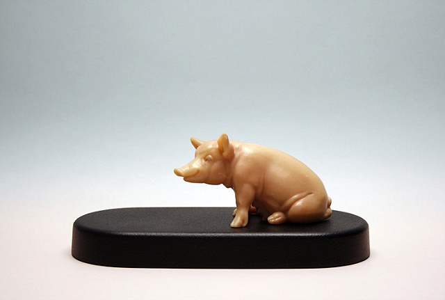 PIG