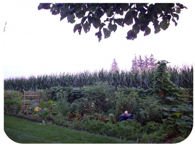 garden at the circus