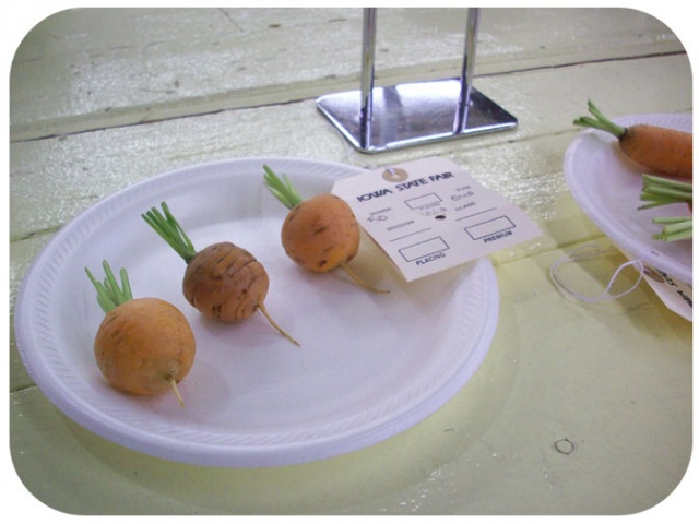 carrot competition