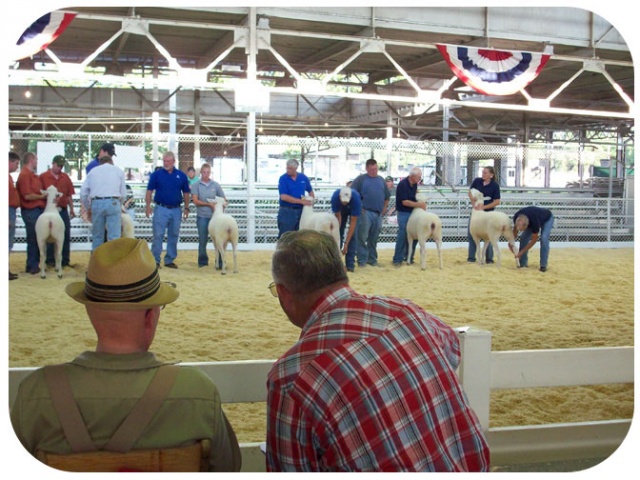 iowa state fair