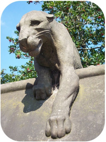 animal wall