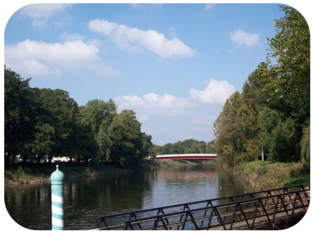 bute park