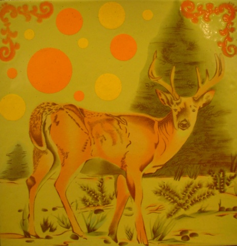WHITE TAIL