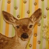 YOUNG BUCK